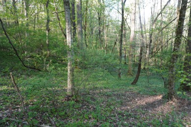 ENGLISH CREEK FRONTAGE within Walking or Golf cart distance to on Smoky Mountain Country Club in Tennessee - for sale on GolfHomes.com, golf home, golf lot