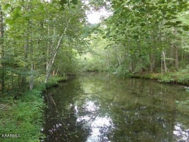 Lake Lot on Lake Tansi. Half acre wooded lot. Lake access to big on Lake Tansi Village Country Club in Tennessee - for sale on GolfHomes.com, golf home, golf lot