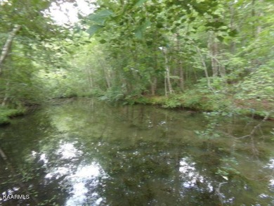 Lake Lot on Lake Tansi. Half acre wooded lot. Lake access to big on Lake Tansi Village Country Club in Tennessee - for sale on GolfHomes.com, golf home, golf lot
