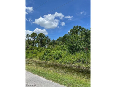 Here it is! Fantastic lot at a great price! HIGHER elevation lot on Lehigh Resort Club in Florida - for sale on GolfHomes.com, golf home, golf lot