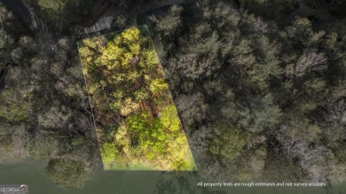 Build on this 0.28-acre lot that backs directly to the golf on Innsbruck Resort and Golf Club in Georgia - for sale on GolfHomes.com, golf home, golf lot