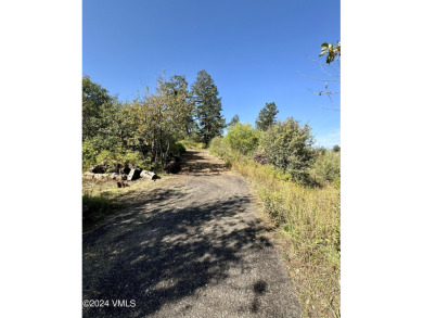 Touted as one of the best view lots in the Travis Creek on Red Sky Ranch and Golf Club in Colorado - for sale on GolfHomes.com, golf home, golf lot