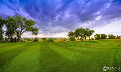 Live in Harmony with your surroundings at desirable Harmony on Harmony Golf Club in Colorado - for sale on GolfHomes.com, golf home, golf lot