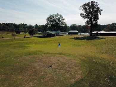 Discover the potential of this cozy 2-bed, 2-bath home in the on Pendleton Harbor in Texas - for sale on GolfHomes.com, golf home, golf lot