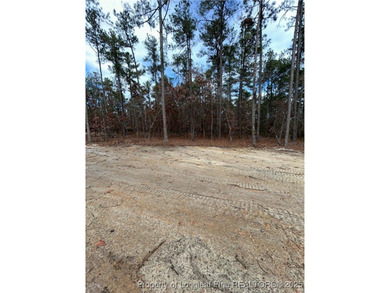 Beautiful 3 bedroom 2.5 bath Ranch home WITH finished bonus on Deercroft Golf and Country Club in North Carolina - for sale on GolfHomes.com, golf home, golf lot