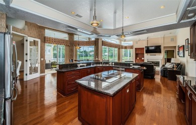 An Amazing Ensemble of Stunning Views, Serene Privacy and the on East Lake Woodlands Country Club in Florida - for sale on GolfHomes.com, golf home, golf lot