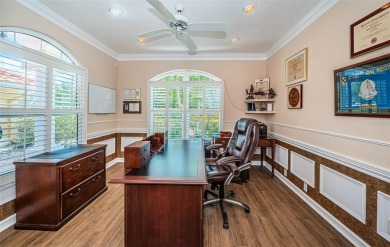 An Amazing Ensemble of Stunning Views, Serene Privacy and the on East Lake Woodlands Country Club in Florida - for sale on GolfHomes.com, golf home, golf lot