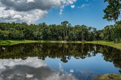 An Amazing Ensemble of Stunning Views, Serene Privacy and the on East Lake Woodlands Country Club in Florida - for sale on GolfHomes.com, golf home, golf lot