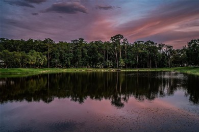 An Amazing Ensemble of Stunning Views, Serene Privacy and the on East Lake Woodlands Country Club in Florida - for sale on GolfHomes.com, golf home, golf lot
