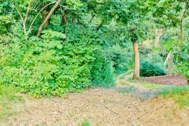 Lakefront Lot with Dock and Boat Lift! on Oak Run Golf Course in Illinois - for sale on GolfHomes.com, golf home, golf lot