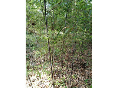 NEW YEAR NEW FUTURE Income Potential! Hard to find Prime on Pendleton Harbor in Texas - for sale on GolfHomes.com, golf home, golf lot