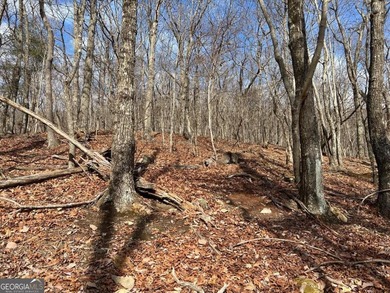 Price Improvement for 2026! This 1.21 acre lot is located on a on Bent Tree Golf Course in Georgia - for sale on GolfHomes.com, golf home, golf lot