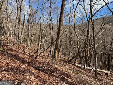 Price Improvement for 2026! This 1.21 acre lot is located on a on Bent Tree Golf Course in Georgia - for sale on GolfHomes.com, golf home, golf lot