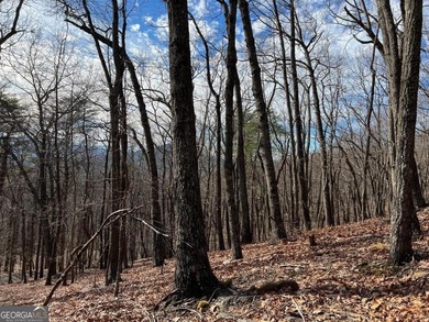 Price Improvement for 2026! This 1.21 acre lot is located on a on Bent Tree Golf Course in Georgia - for sale on GolfHomes.com, golf home, golf lot