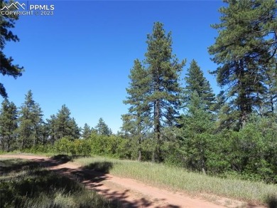 1-Acre Lot in the Pristine Pine Forest of Perry Park. Looks just on Perry Park Country Club in Colorado - for sale on GolfHomes.com, golf home, golf lot