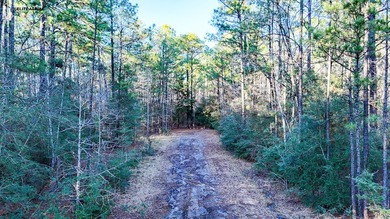 **Secluded Haven in Rayburn Resort & Country Club** Nestled on Rayburn Country Club in Texas - for sale on GolfHomes.com, golf home, golf lot
