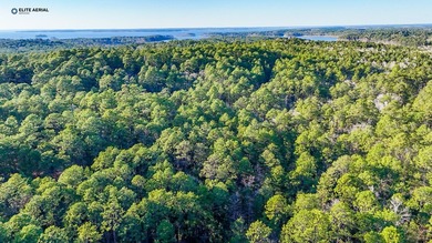 **Secluded Haven in Rayburn Resort & Country Club** Nestled on Rayburn Country Club in Texas - for sale on GolfHomes.com, golf home, golf lot