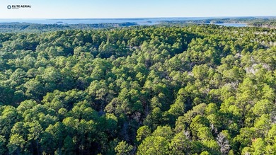 **Secluded Haven in Rayburn Resort & Country Club** Nestled on Rayburn Country Club in Texas - for sale on GolfHomes.com, golf home, golf lot