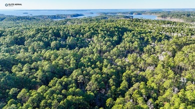 **Secluded Haven in Rayburn Resort & Country Club** Nestled on Rayburn Country Club in Texas - for sale on GolfHomes.com, golf home, golf lot