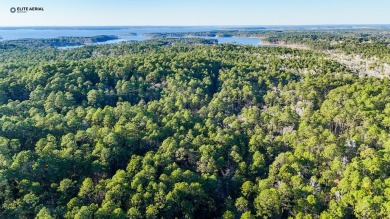 **Secluded Haven in Rayburn Resort & Country Club** Nestled on Rayburn Country Club in Texas - for sale on GolfHomes.com, golf home, golf lot