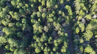 **Secluded Haven in Rayburn Resort & Country Club** Nestled on Rayburn Country Club in Texas - for sale on GolfHomes.com, golf home, golf lot