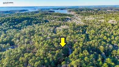 **Secluded Haven in Rayburn Resort & Country Club** Nestled on Rayburn Country Club in Texas - for sale on GolfHomes.com, golf home, golf lot
