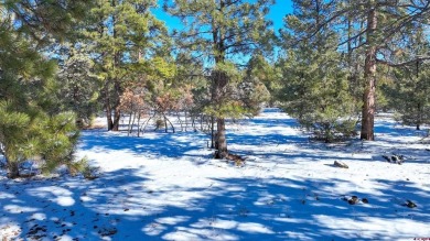 Chase K Girard, Ponderosa Real Estate The Source For Real Estate on The Divide Ranch and Club in Colorado - for sale on GolfHomes.com, golf home, golf lot