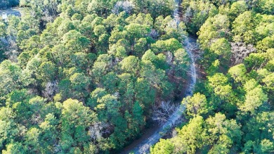 **Secluded Haven in Rayburn Resort & Country Club** Nestled on Rayburn Country Club in Texas - for sale on GolfHomes.com, golf home, golf lot