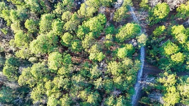 **Secluded Haven in Rayburn Resort & Country Club** Nestled on Rayburn Country Club in Texas - for sale on GolfHomes.com, golf home, golf lot