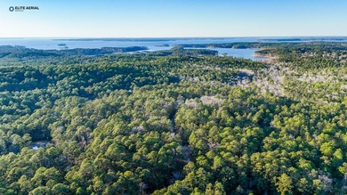 **Secluded Haven in Rayburn Resort & Country Club** Nestled on Rayburn Country Club in Texas - for sale on GolfHomes.com, golf home, golf lot