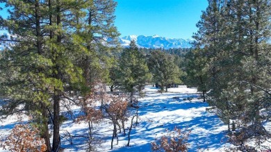 Chase K Girard, Ponderosa Real Estate The Source For Real Estate on The Divide Ranch and Club in Colorado - for sale on GolfHomes.com, golf home, golf lot