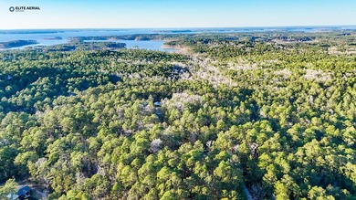 **Secluded Haven in Rayburn Resort & Country Club** Nestled on Rayburn Country Club in Texas - for sale on GolfHomes.com, golf home, golf lot