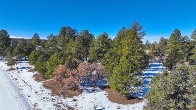 Chase K Girard, Ponderosa Real Estate The Source For Real Estate on The Divide Ranch and Club in Colorado - for sale on GolfHomes.com, golf home, golf lot