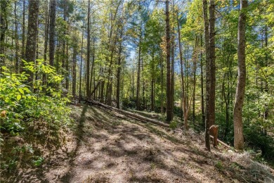 Beautiful 1 acre homesite overlooking the #9 green and fairway on The Cliffs At Keowee Vineyards Golf Club in South Carolina - for sale on GolfHomes.com, golf home, golf lot