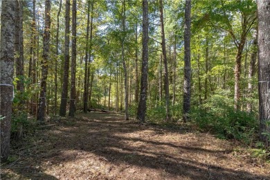 Beautiful 1 acre homesite overlooking the #9 green and fairway on The Cliffs At Keowee Vineyards Golf Club in South Carolina - for sale on GolfHomes.com, golf home, golf lot