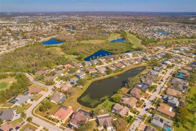 SELLER WILLING TO CONTRIBUTE $10,000 TOWARDS BUYERS CLOSING on Summerfield Crossing Golf Club in Florida - for sale on GolfHomes.com, golf home, golf lot