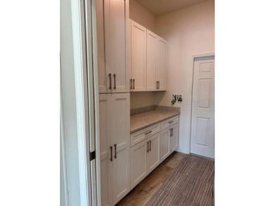 Welcome to 1142 Sawgrass Drive, a better-than-new home in the on Lake Ashton Golf Club in Florida - for sale on GolfHomes.com, golf home, golf lot