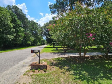 Charming home located on the 14th fairway of Shannon Greens Golf on Shannon Greens Golf Course in South Carolina - for sale on GolfHomes.com, golf home, golf lot