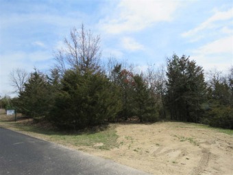 Take at a look at this beautiful lot in the highly sought after on Christmas Mountain Village Golf Course in Wisconsin - for sale on GolfHomes.com, golf home, golf lot
