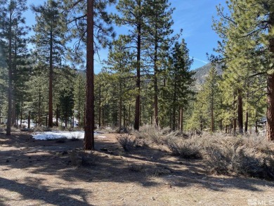 Your back decks and outdoor spaces are to the western sunset on Clear Creek Tahoe in Nevada - for sale on GolfHomes.com, golf home, golf lot