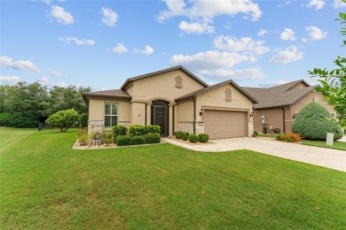 Resort-inspired elegance, modern convenience, and breathtaking on Stone Creek Golf Club in Florida - for sale on GolfHomes.com, golf home, golf lot