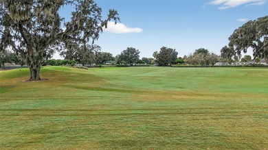 STUNNING, GOLF FRONT and WATER VIEW, 3/2 BLOCK and STUCCO on The Links of Spruce Creek in Florida - for sale on GolfHomes.com, golf home, golf lot