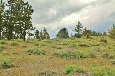 DISCOVER THIS PREMIUM MOUNTAIN TOP HOMESITE SURROUNDED BY THE on Nakoma Golf Resort in California - for sale on GolfHomes.com, golf home, golf lot