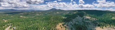 DISCOVER THIS PREMIUM MOUNTAIN TOP HOMESITE SURROUNDED BY THE on Nakoma Golf Resort in California - for sale on GolfHomes.com, golf home, golf lot