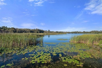 Welcome to Paradise! Great location, with lots of opportunities on On Top Of The World Golf Course in Florida - for sale on GolfHomes.com, golf home, golf lot