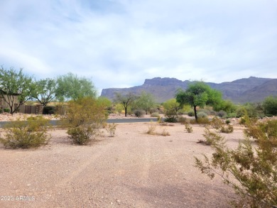 TO BE BUILT, this is a fabulous golf course lot in the Canyon on Superstition Mountain Club - Lost Gold in Arizona - for sale on GolfHomes.com, golf home, golf lot
