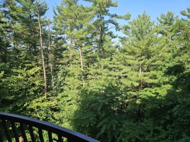 Beautiful 4th floor Condo facing the Wis. River. 2 fireplaces, 3 on Coldwater Canyon Golf Course in Wisconsin - for sale on GolfHomes.com, golf home, golf lot