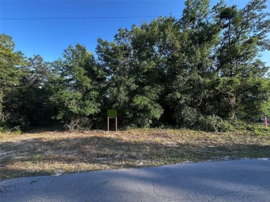 Peaceful charm of rural living, build your dream home in a on Williston Highlands Golf and Country Club in Florida - for sale on GolfHomes.com, golf home, golf lot