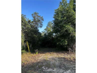 Peaceful charm of rural living, build your dream home in a on Williston Highlands Golf and Country Club in Florida - for sale on GolfHomes.com, golf home, golf lot