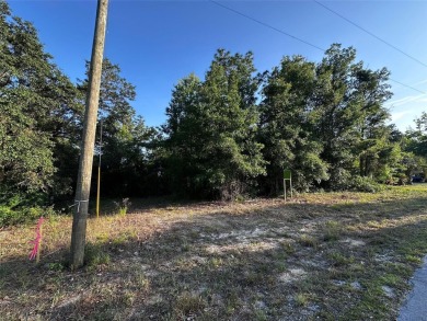 Peaceful charm of rural living, build your dream home in a on Williston Highlands Golf and Country Club in Florida - for sale on GolfHomes.com, golf home, golf lot